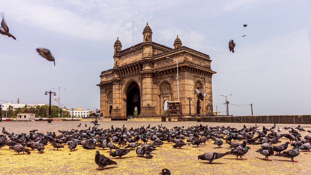 Trip With Force urbania Vans Pune to Mumbai